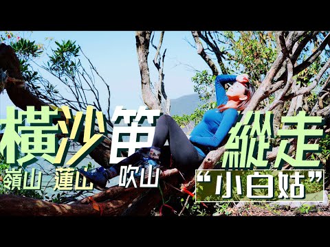 【橫嶺山】號稱“小白姑”！連走沙蓮山、笛吹山【橫沙笛縱走】發現奇樹像海豹🦭