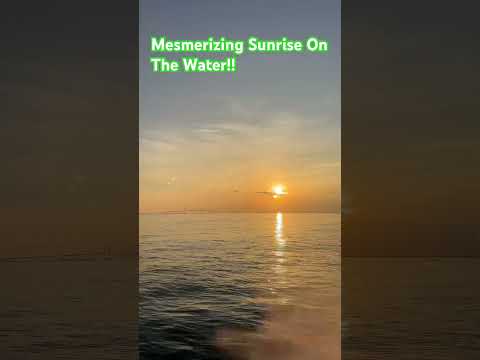 Mesmerizing Sunrise on the Water with Skyway Bridge in the Background#skywaybridge