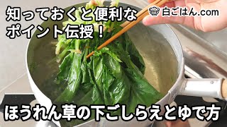 ほうれん草の下ごしらえとゆで方／知っておくと便利なポイント伝授！