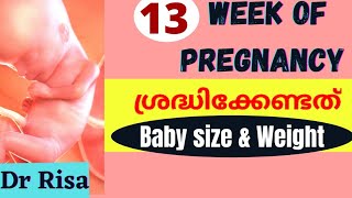 Pregnanacy Week by Week Malayalam | 13 Weeks Pregnant | Pregnancy Symptoms Malayalam