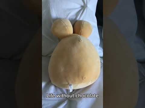 My life without chocolate #sadpou #plushtoys