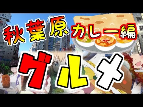 （グルメ編） 秋葉原でカレーが食べたい！ （ランチに最適）　curry store in Akihabara.