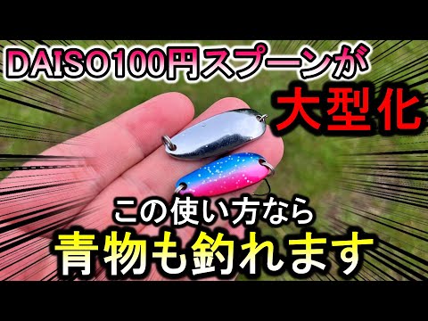 ダイソースプーンが大型化して新発売！？堤防から青物狙いで使えるか試してみた