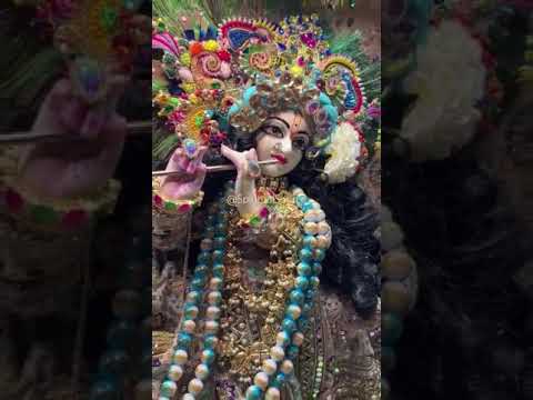 तेरी चौखट पे दिल ये मेरा खो गया 💞💞 #trending#viral#shortsvideo2024 #radhey #radhekrishnabhakti#radhe