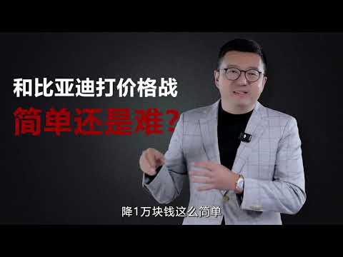 和比亚迪打价格战，难度有多大？