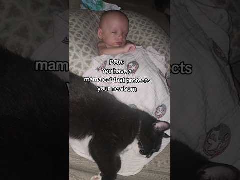 Newborn Baby & Cat #newbornbaby #newborn #babyandanimal #baby #babyboy #catlover #cat