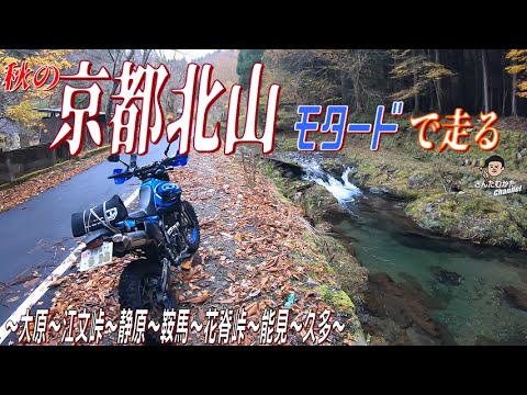 【DトラッカーX #173】秋の京都北山、さんたむかた・お勧めの道を走る 静原の洗い越し～紅葉の静原神社～鞍馬～花脊峠～能見の紅葉と渓流～能見峠～久多の大杉【京都】【日帰りツーリング】