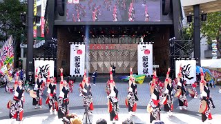 【4K】新琴似天舞龍神（第25回 東京よさこい/池袋西口公園会場）