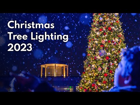 Christmas Tree Lighting 2023