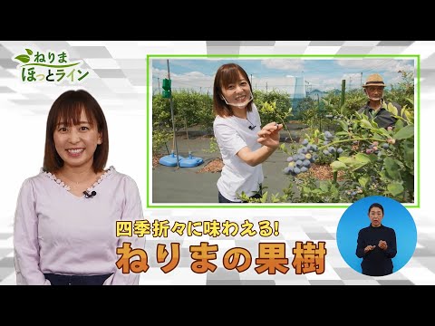 ねりまほっとライン（四季折々に味わえる！ねりまの果樹）令和４年３月後半号