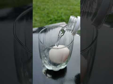 Dissolving EGG shell using Chemistry .