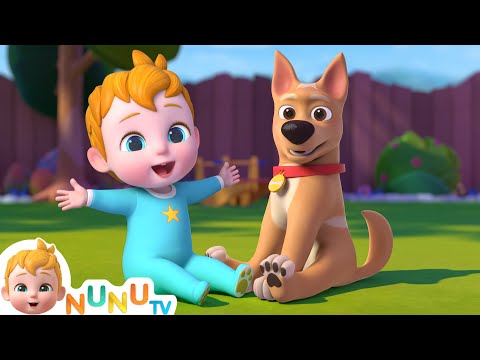 Bingo Song + More Nursery Rhymes & Kids Songs | NuNu Tv