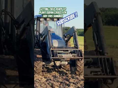 Getting Field Ready to plant sorghum Sudan grass #shortsvideo #agriculture #tractor