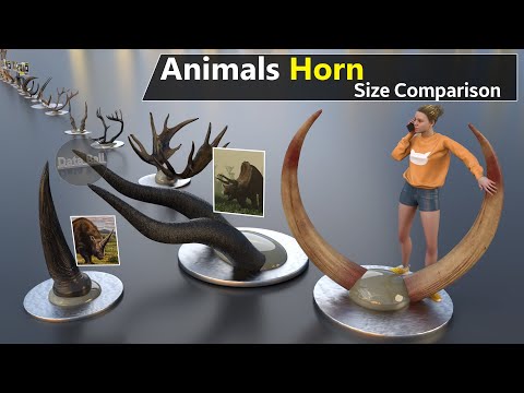 Animal Horn Size Comparison | Extinct Anima size | Fictional Animal horn size