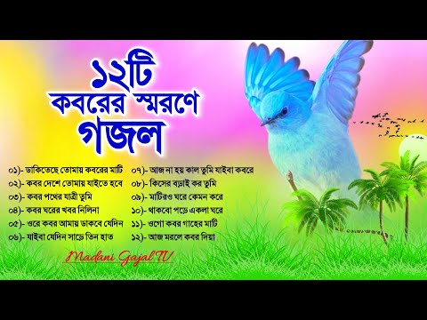 ১২টি আপনার পছন্দের কবরকে স্মরণ করানো গজল | Your Favourite Very Emotional Gojol | Madani Gajal TV