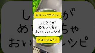 【シェフ簡単レシピ】👨‍🍳ししとうめちゃくちゃおいしい！簡単常備菜なごはんに合うー品。シンプルイズベスト👍#shorts #ししとう#シェフレシピ#レストランニューポート#レシピ#料理#山梨