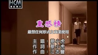 蔡小虎-重感情(官方KTV版)