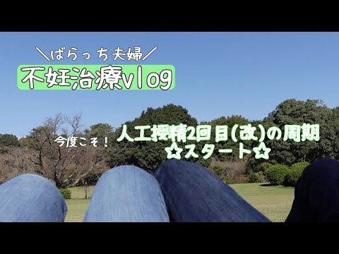 【不妊治療】人工授精2回目(改)の周期スタート/クリニック受診/フェマーラ/副作用？/公園でピクニック/天ぷら/冬支度/1人目妊活中