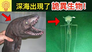 科學家在深海裡發現了詭異生物！