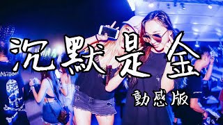 沉默是金 DJ - 抖音 动感版 [受了教训 得了书经的指引]