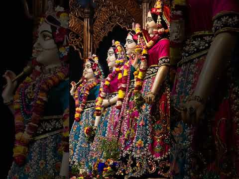 ♥️ Today's darshan of Narasimha Deb, Radha Madhav, panchatatwa divine ♥️ 22/12/2024 #mayapuriskcon