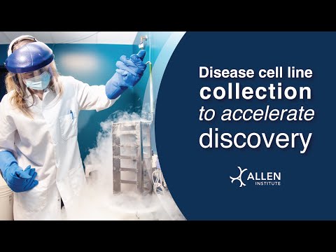 Allen Institute for Cell Science releases first disease cell line collection to accelerate discovery