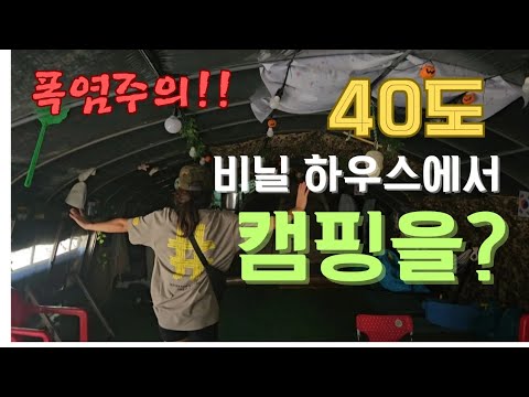 차박《노지캠핑》폭염주의!!!  40도!!  이날씨에 비닐하우스캠핑을?생각보다 괜찮다!  야외  노지차박보다 편한데(?)