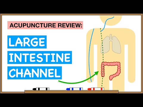 Points Review: Large Intestine Channel Acupuncture Meridian