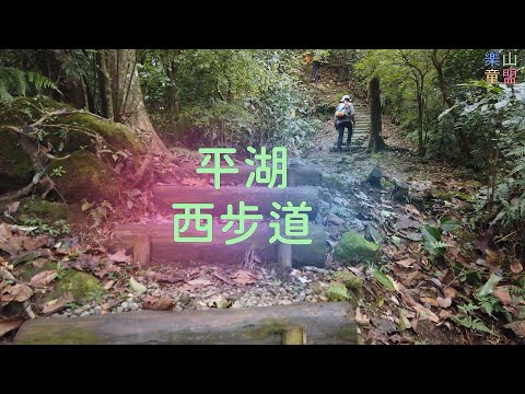 [新北平溪] 平湖西步道-內平林山 / Pinghuxi Trail,Neipinglin Mountain