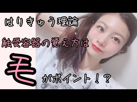 【はりきゅう理論】触受容器の覚え方は"毛"！？【Biancaなざと】