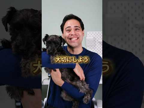 【本音】犬は翼のない天使なので大切にしよう #外国人 #犬