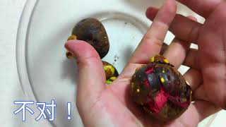 《不一样水果的切法》剥山竹 The best way to open mangosteen