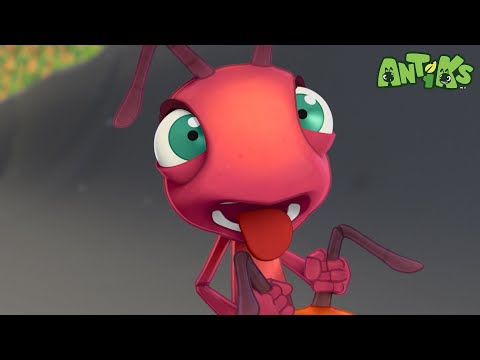 Drain Face | Full Episodes | Antiks | Cartoons for Kids