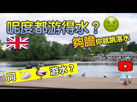 【挑戰膽量消暑大法 - 與鵝同游🏊】去倫敦Hyde Park湖中暢泳 | 綠色湖水點游呀? | 仲有泊車🅿️資訊 [附中文字幕]