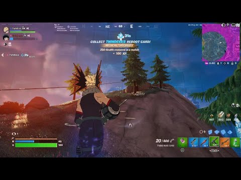 Fortnite with mah twin :))