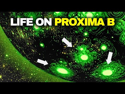 Scientists Think Life on Proxima Centauri B Would Be Unlike Anything We Have Ever Seen!