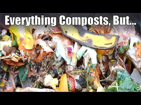 What Shouldn't Be Composted?