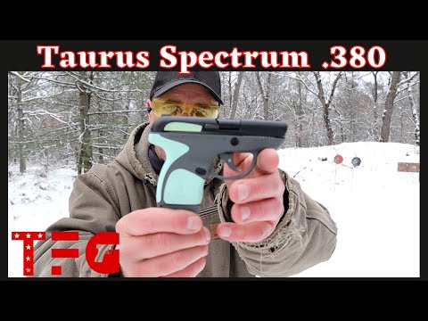 Taurus Spectrum .380 ACP "Budget Series" - TheFirearmGuy