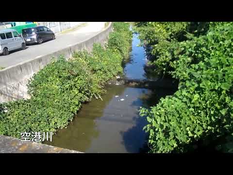 岡町駅から猪名寺駅まで歩く（後編）