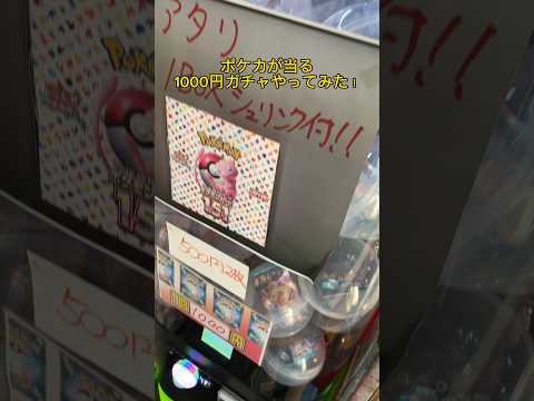 【黒炎の支配者】1000円ガチャやってみた。【レイジングサーフ】 #ポケモンカードゲーム #pokémon