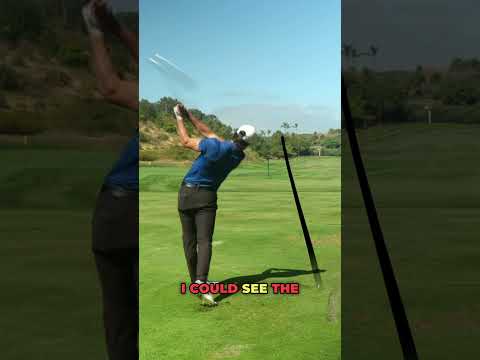 World #1 Golfer Lessons From Clubs | #shorts #golftee