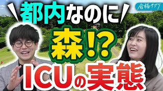 【もはや海外】ICU・国際基督教大学キャンパスツアー/大学紹介