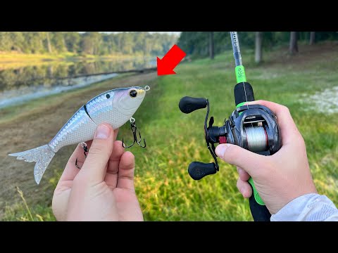 This $25 Glidebait is Actually Worth It