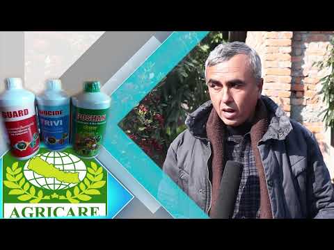 Best Agriculture Product Bio Pesticide (Biocide Trivi) by Agricare Nepal Pvt.ltd