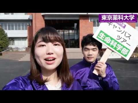 Webキャンパスツアー　生命科学部編｜東京薬科大学