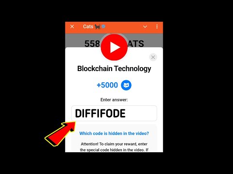 Blockchain Technology Cats Code | Blockchain Technology cats video code today