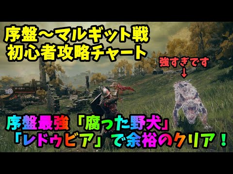 【エルデリング】序盤～マルギット戦までの攻略チャート！腐った野犬＆レドゥビアが強すぎた！【ELDEN RING】