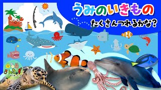 うみのいきものをたくさん釣ろう！【子供向け 海の生き物アニメ】水族館で人気のイルカ ジンベエザメ マンタなど海の生き物たちが16種登場するよ★【生き物 知育動画】