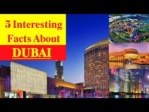 5 Amazing Facts About DUBAI ( UAE ) in hindi factecz #shorts