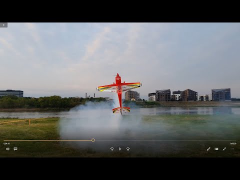 Extreame Flying D. Pauzuolis RC extra-300